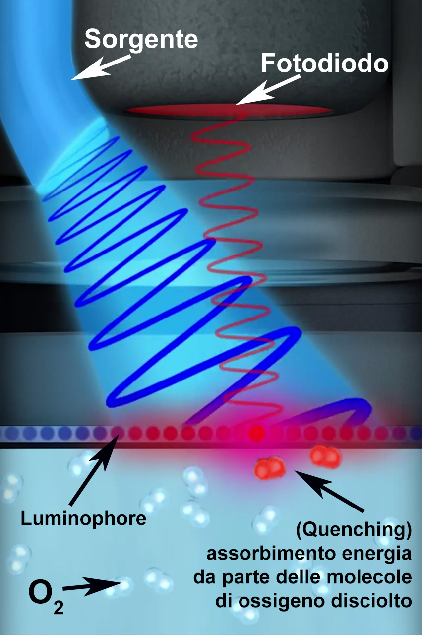 Quenching - Riduzione della fluorescenza