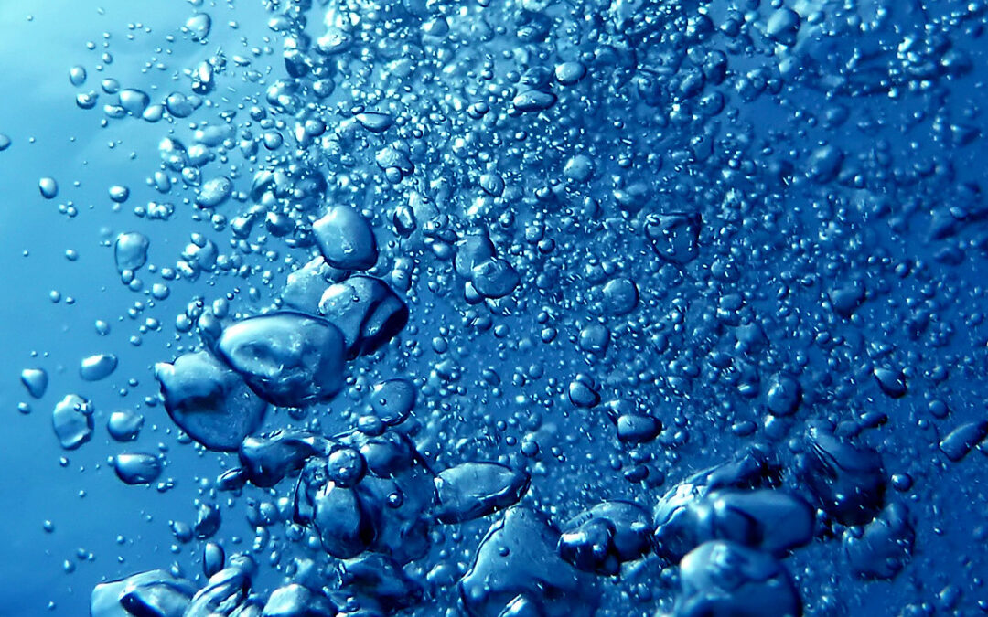 L’importanza dell’ossigeno disciolto nelle acque e il suo impatto sugli ecosistemi