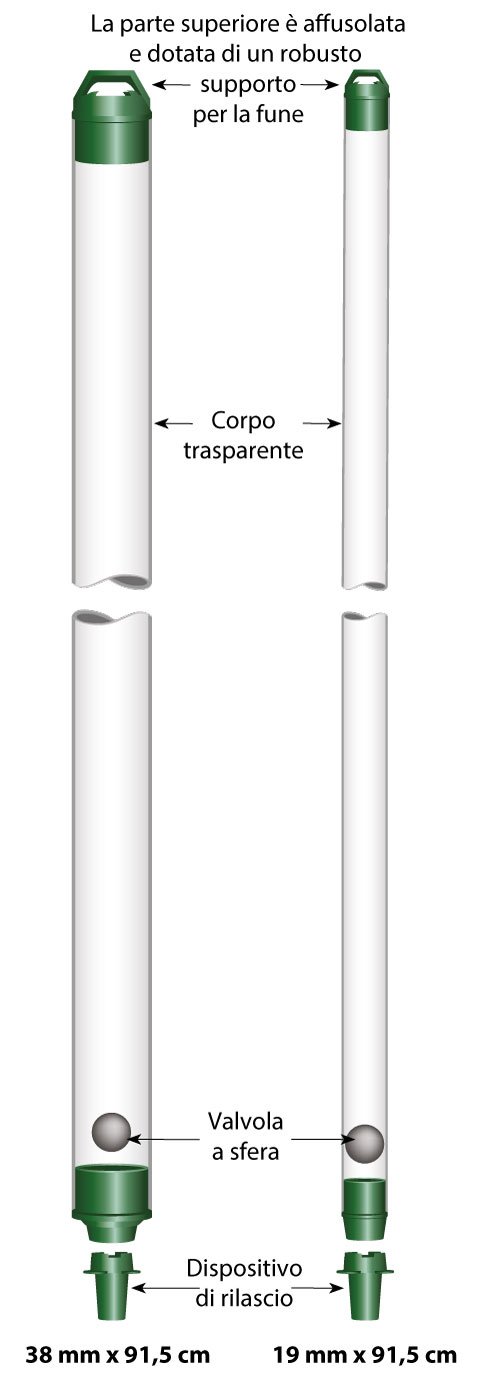 Schema Bailer